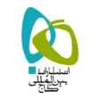 لوگوی مشتری